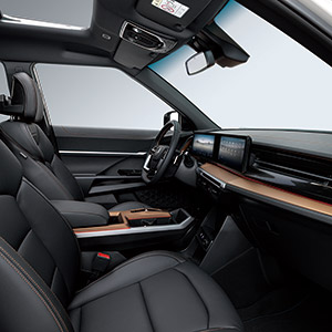 torres fekete belter