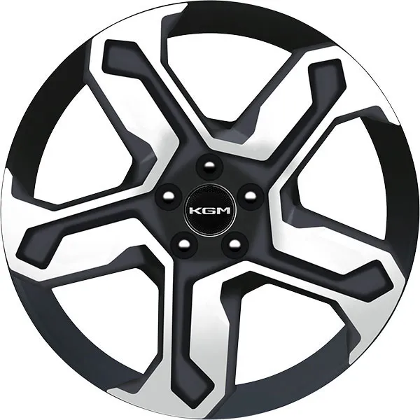 pic showroom torres hybrid 19